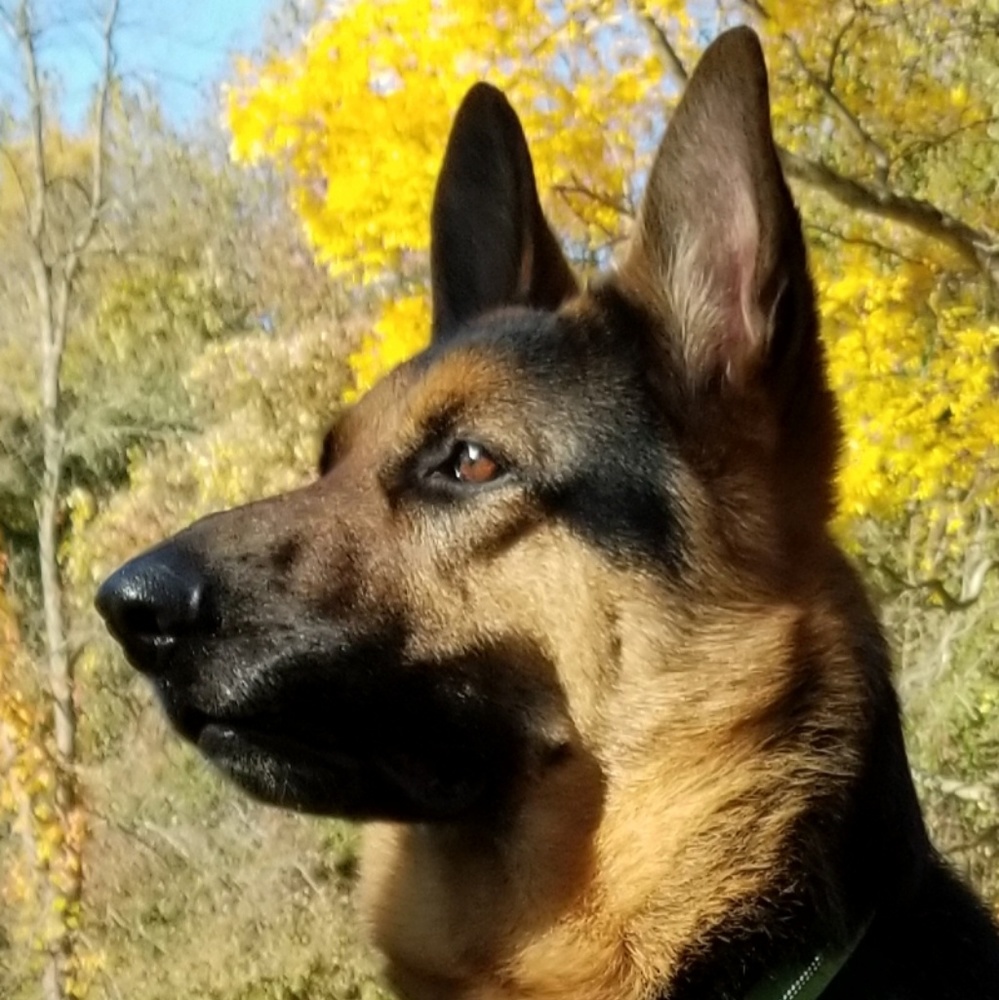 Meet your Posher, John